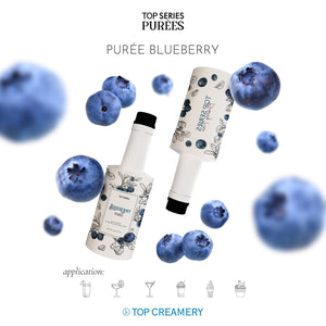 PureeBlueberry-CRTV_3bef9604-3a99-4bbf-b9eb-567ec9027fd7_300x300.jpg